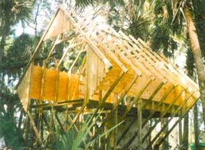 All trusses in place. This photo shows the structural importance of the center 2 by 4 floor support. The 4 by 8 plywood sheets fasted to the frame are not only an inexpensive outer wall but also add strength.